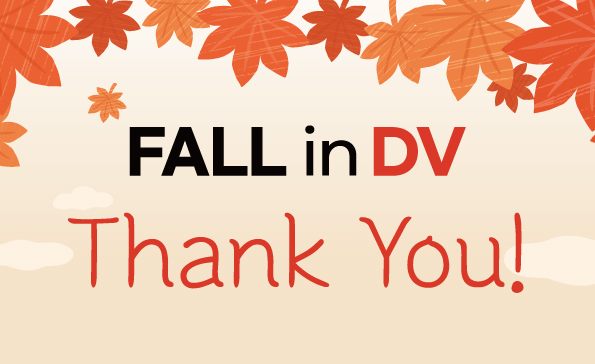 신흥이 DVmall에서 진행한 ‘Fall in DV’가 성황리에 종료됐다.