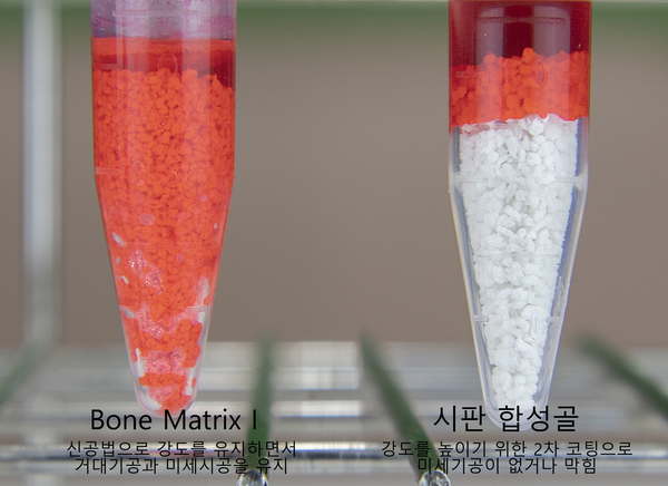 Bone Matrix Ⅰ(왼쪽)과 시판 합성골.